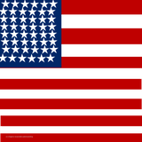 American Flag 20x20